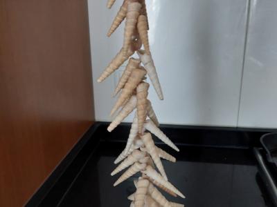 Decoración marítima – Varios artículos