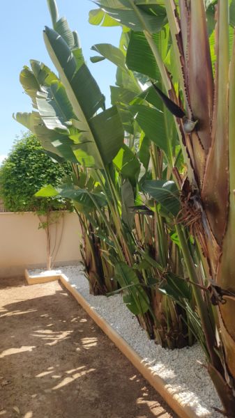 MARRATXI: Gepflegtes 4 SZ-Stadthaus mit Pool  im Palma-Radius zu verkaufen (Neubau aus 2022)