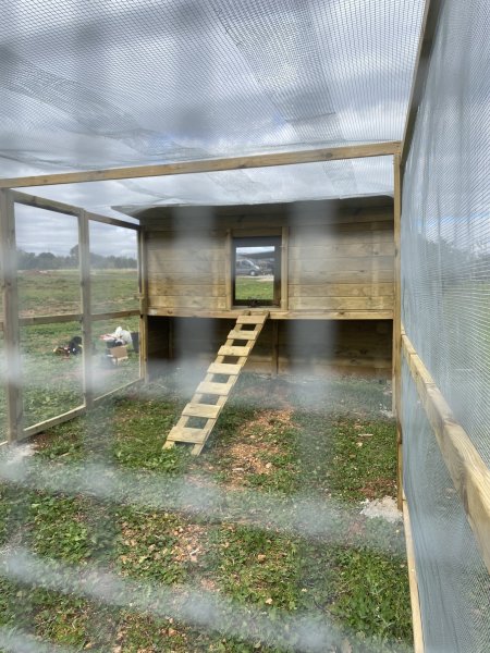 Maßgeschneiderte Hühnerställe aus Holz