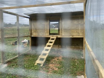 Maßgeschneiderte Hühnerställe aus Holz