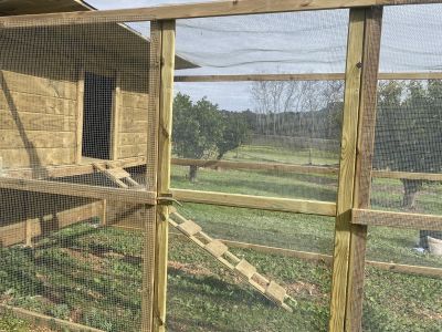 Maßgeschneiderte Hühnerställe aus Holz