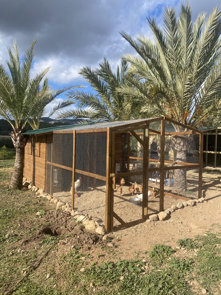 Maßgeschneiderte Hühnerställe aus Holz