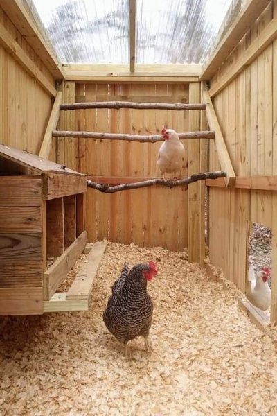 Maßgeschneiderte Hühnerställe aus Holz