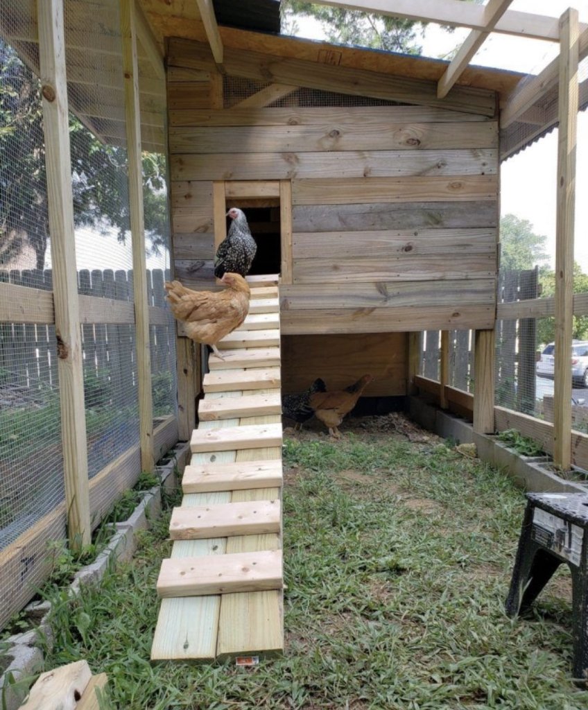 Maßgeschneiderte Hühnerställe aus Holz