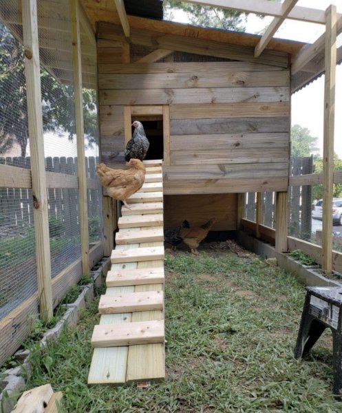 Maßgeschneiderte Hühnerställe aus Holz