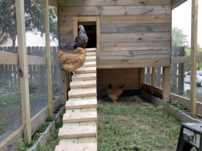 Maßgeschneiderte Hühnerställe aus Holz
