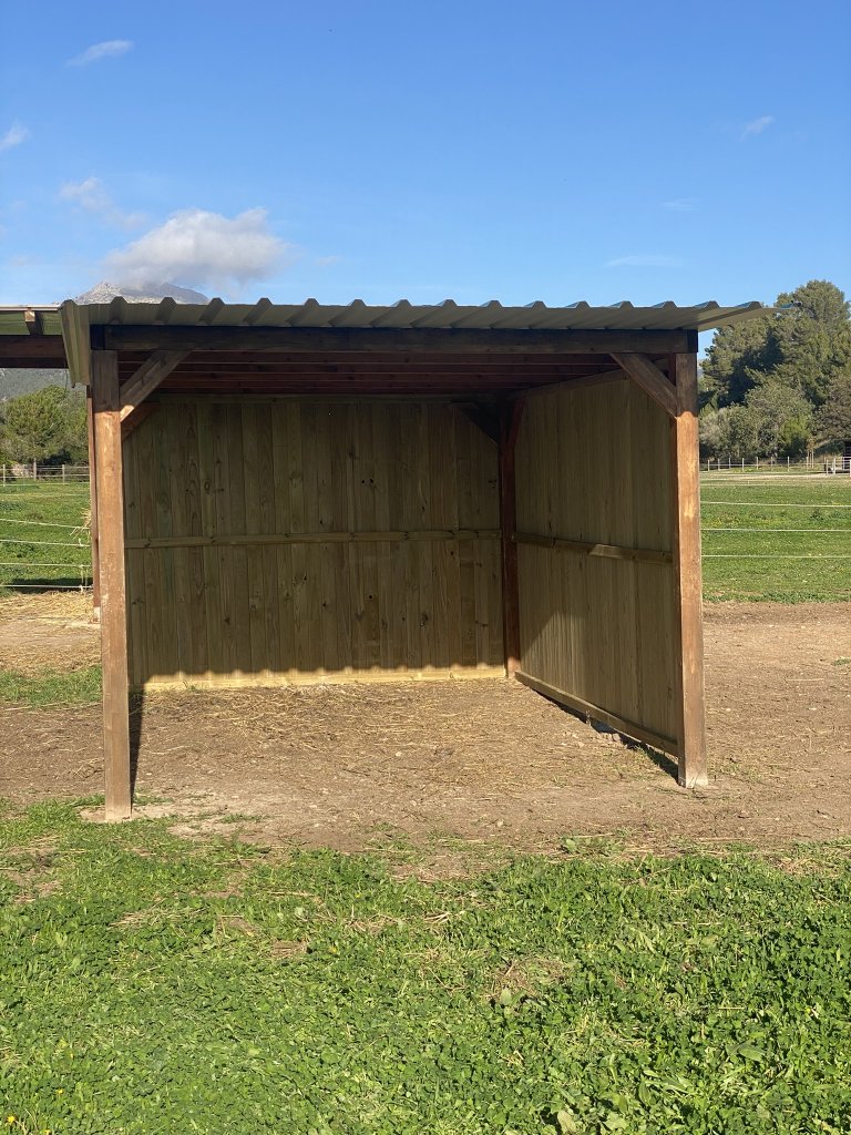 Maßgeschneiderte Pferdeboxen und Stallungen