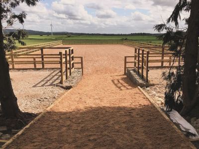 Maßgeschneiderte Pferdeboxen und Stallungen