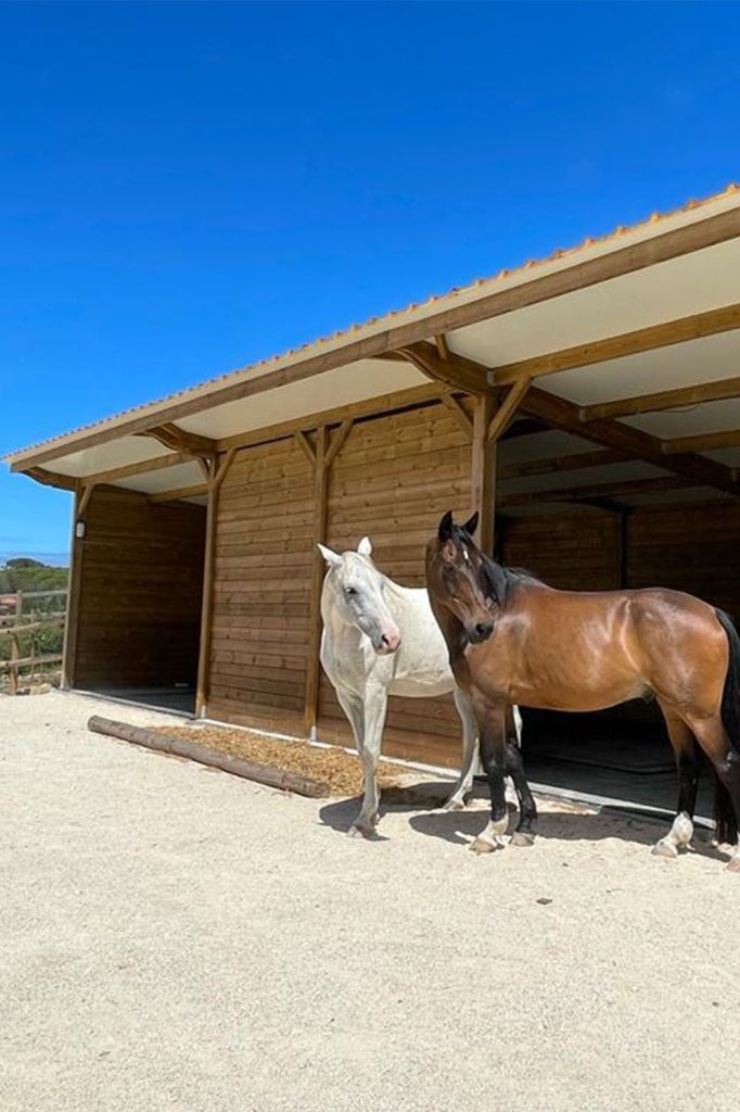 Maßgeschneiderte Pferdeboxen und Stallungen