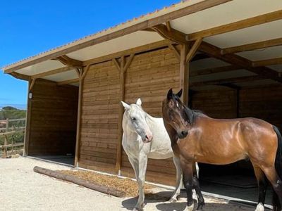 Maßgeschneiderte Pferdeboxen und Stallungen