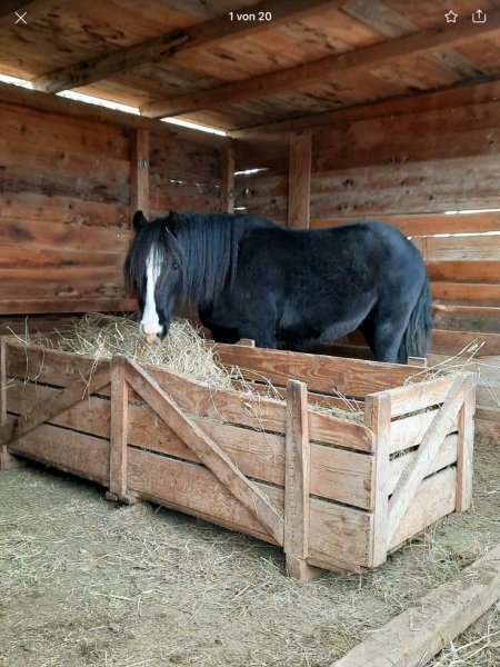 Maßgeschneiderte Pferdeboxen und Stallungen