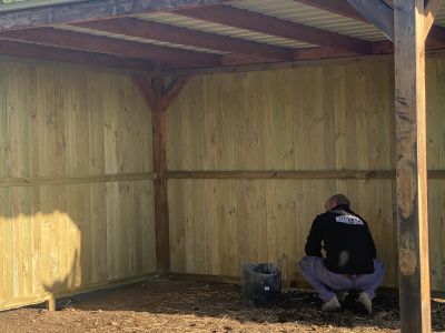 Maßgeschneiderte Pferdeboxen und Stallungen