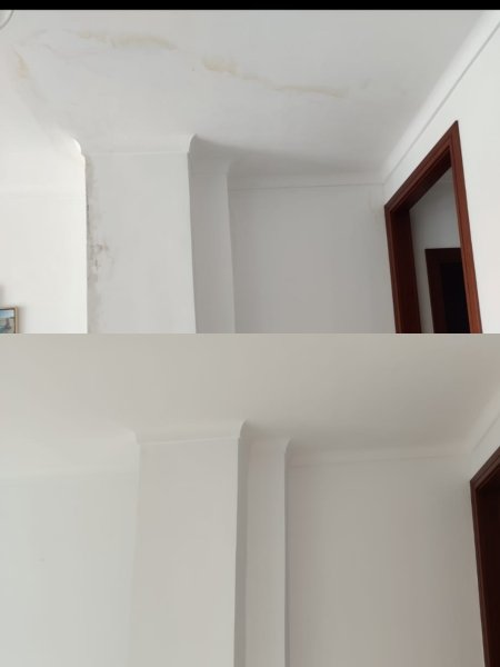 Maurer, Maler, Bau, Renovierungen, Sanierung von Feuchtigkeitsschäden