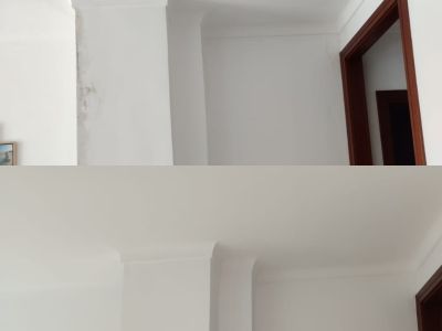 Maurer, Maler, Bau, Renovierungen, Sanierung von Feuchtigkeitsschäden