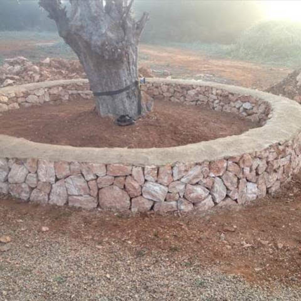 Masonry and Stones...