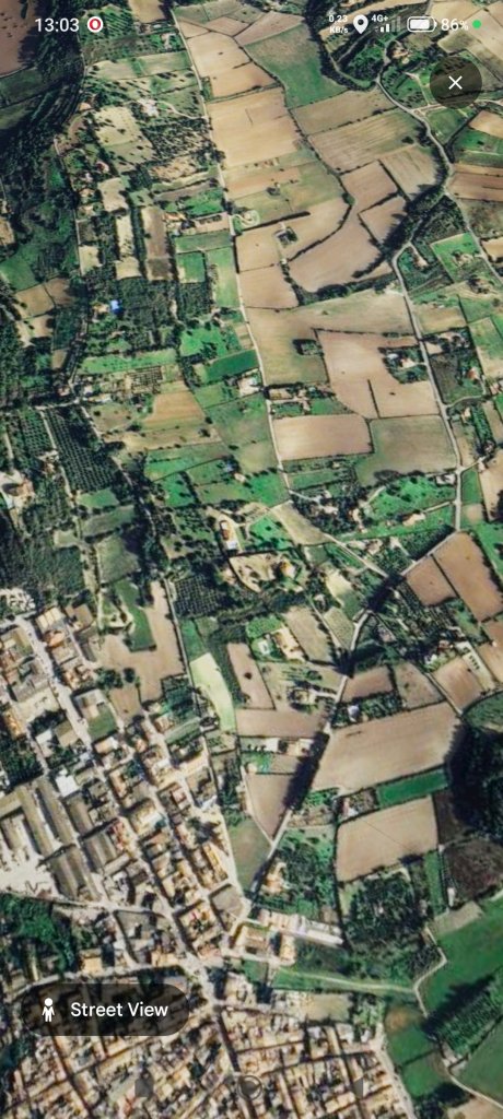 Mehrere Fincas zum bauen von 14.000-56.000m² von privat an privat zu verkaufen0