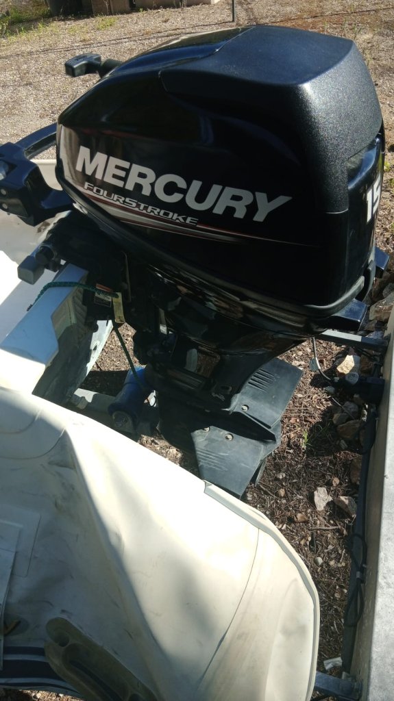 Mercury Fourstroke Außenborder 15ps 11kw Pinnensteuerung