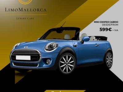 Rent your car for months