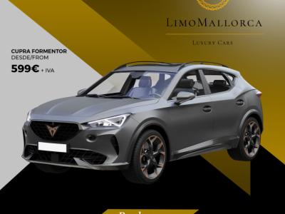 Rent your car for months