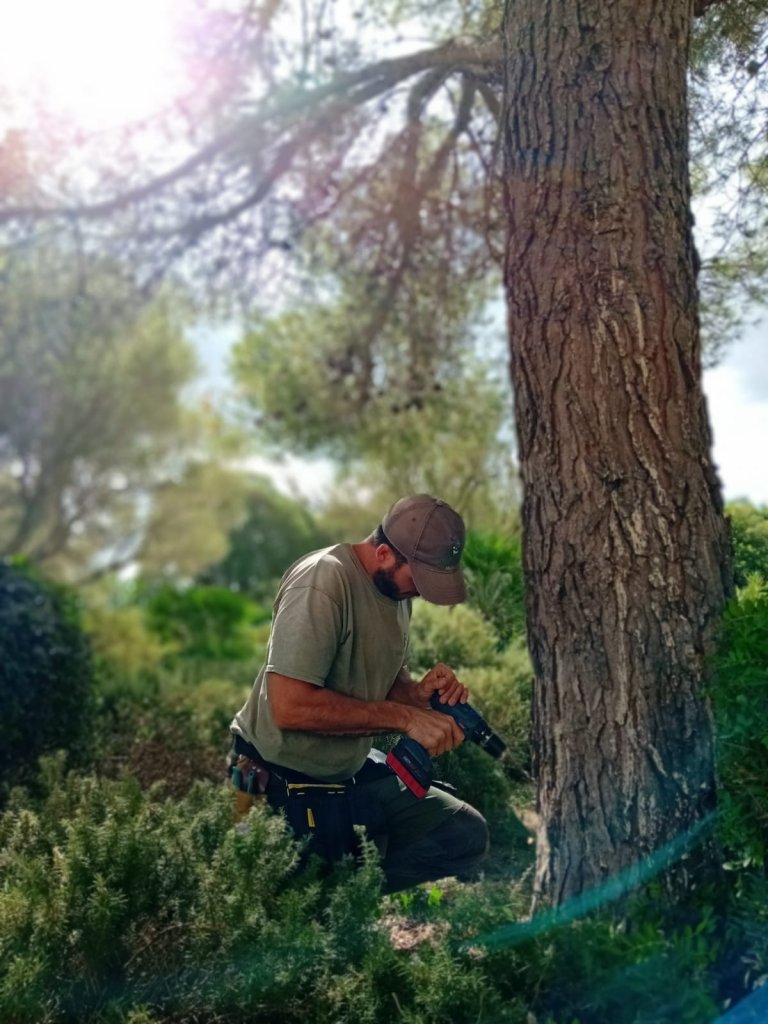 Mike's Garden, Ihr zuverlässiges Gartenunternehmen!