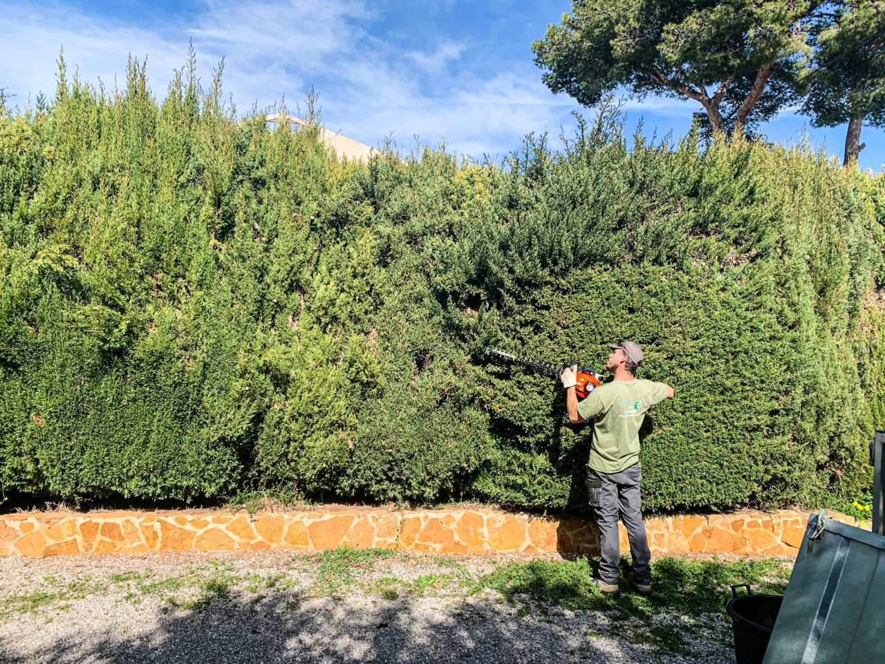 Mike's Garden, Ihr zuverlässiges Gartenunternehmen!