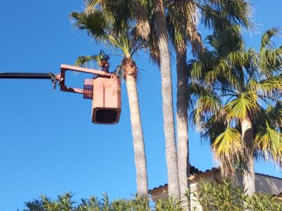 Mike's Garden, Ihr zuverlässiges Gartenunternehmen!