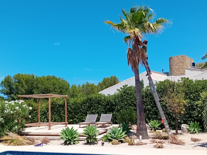 Mike's Garden, Ihr zuverlässiges Gartenunternehmen!