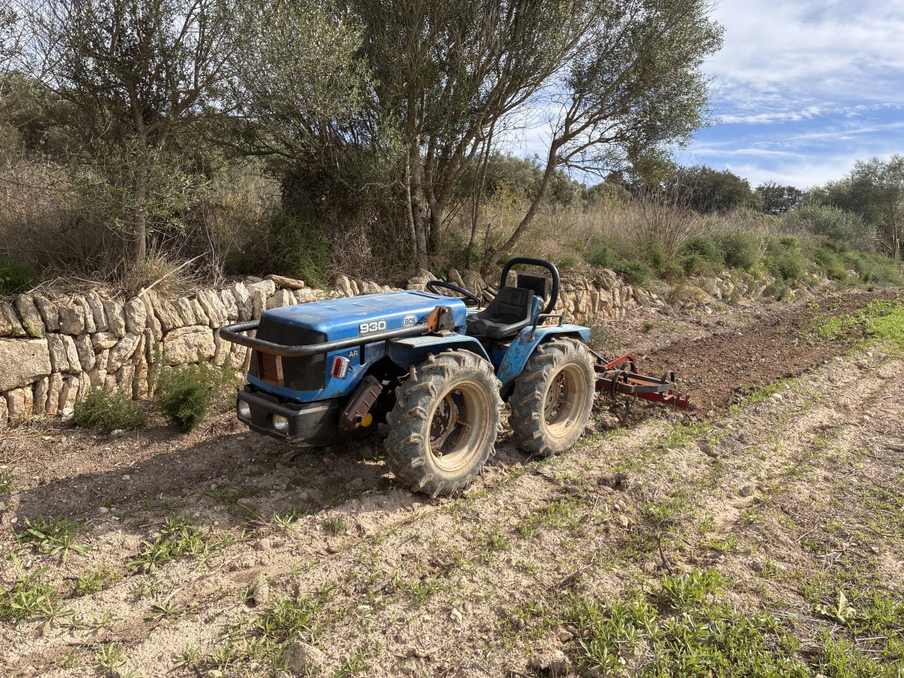 Mini Tractor BCS Ferrari