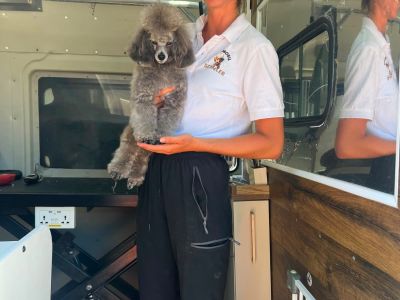 Mobiler Hundefriseur