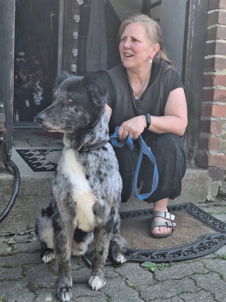Mobiler Hundefriseur oder bei mir in Sineu