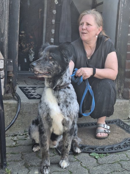 Mobiler Hundefriseur oder bei mir in Sineu