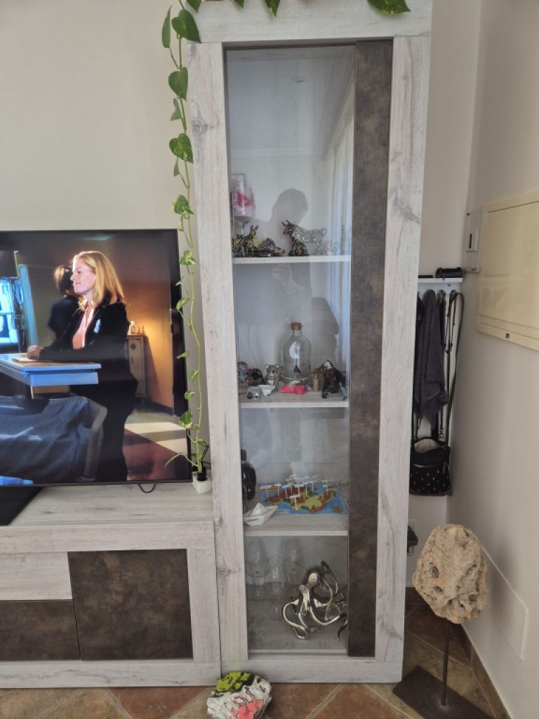 Modern, like-new wall unit