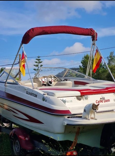 Motor Boot zu verkaufen mit Trailer