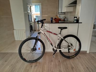 MTB 29-inch