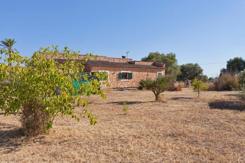 Natursteinfinca in Llucmajor