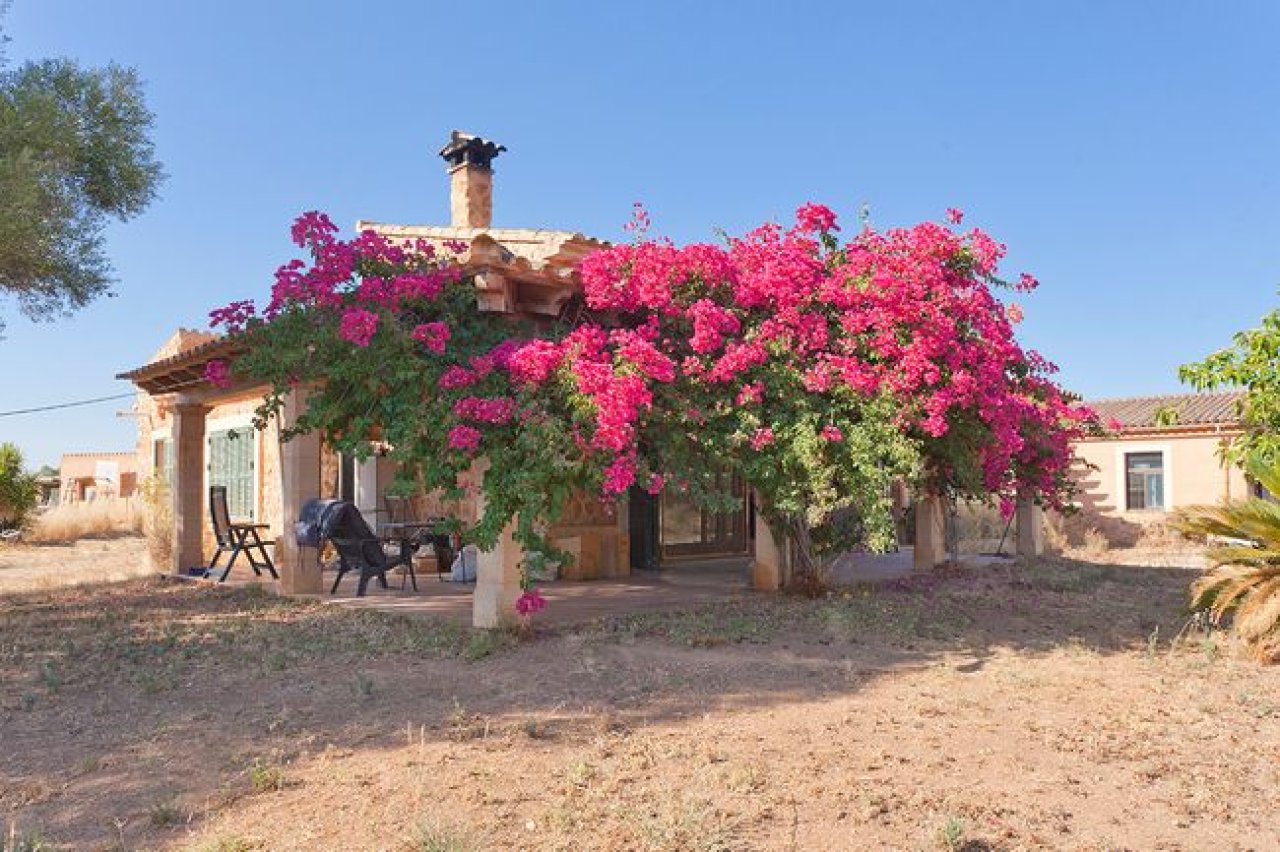 Natursteinfinca in Llucmajor