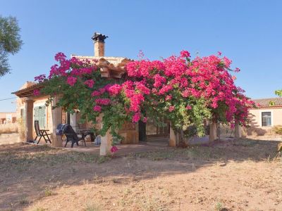 Natursteinfinca in Llucmajor