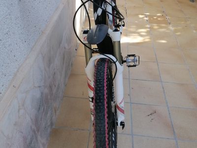 Neuwertiges Damen Carbon Mountainbike
