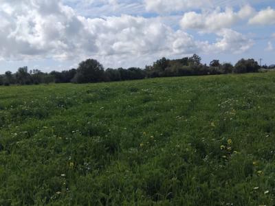 Non-buildable plot for sale in CAMPOS