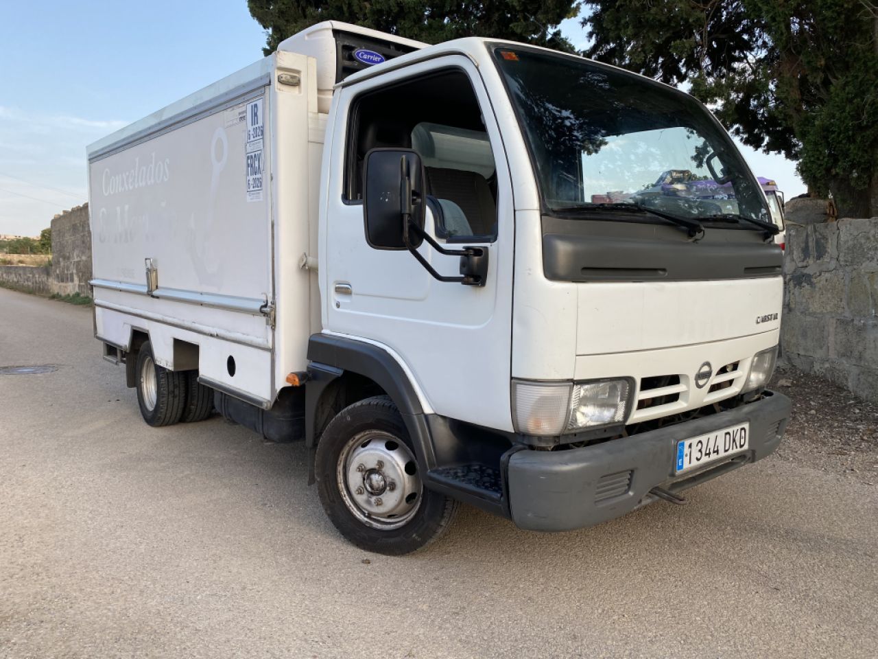 Nissan Cabstar Explosionsteile