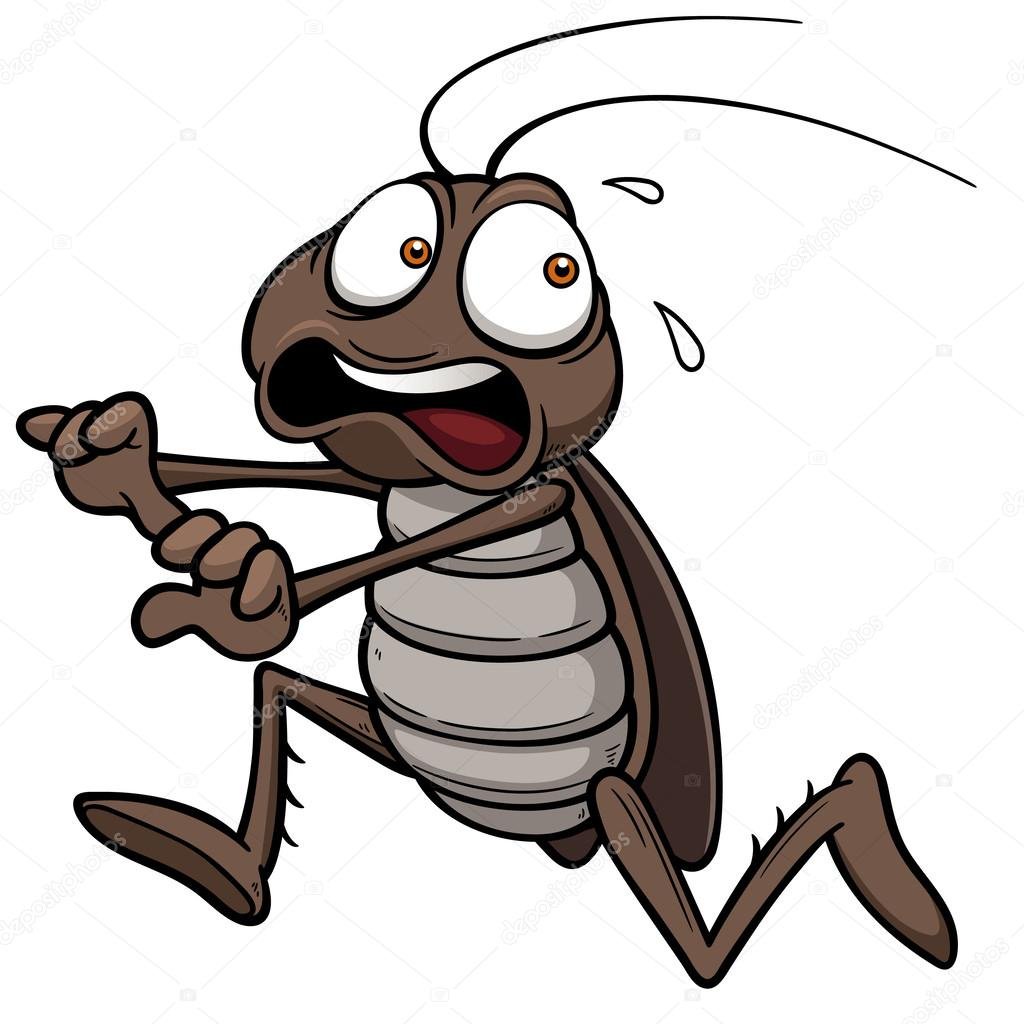 No Kukarachas y Co! Frei von Kackerlacken und Co! No more Pestis !