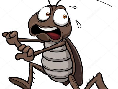 No Kukarachas y Co! Frei von Kackerlacken und Co! No more Pestis !