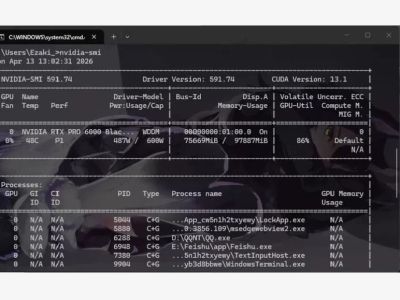 NVIDIA RTX PRO 6000 Blackwell Workstation 96GB GDDR7 Dual-Fan Vollwertige KI-GPU