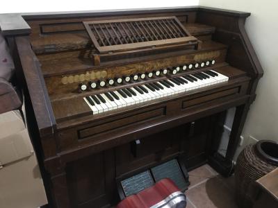 Organ