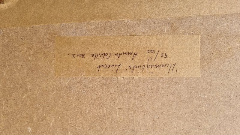 Original Linoldruck "Hummingbirds" Kolibris  Limitiert 55/100  Signiert & Gerahmt