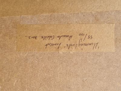 Original Linoldruck "Hummingbirds" Kolibris  Limitiert 55/100  Signiert & Gerahmt