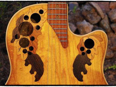 Ovation Elektroakustische Gitarre