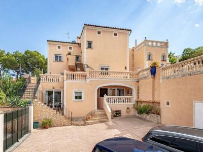 Paguera ground floor for rent