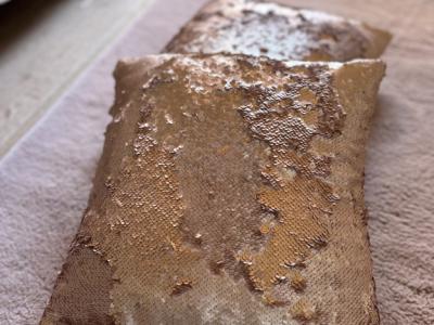 Sequin cushions 2 pieces in old rose