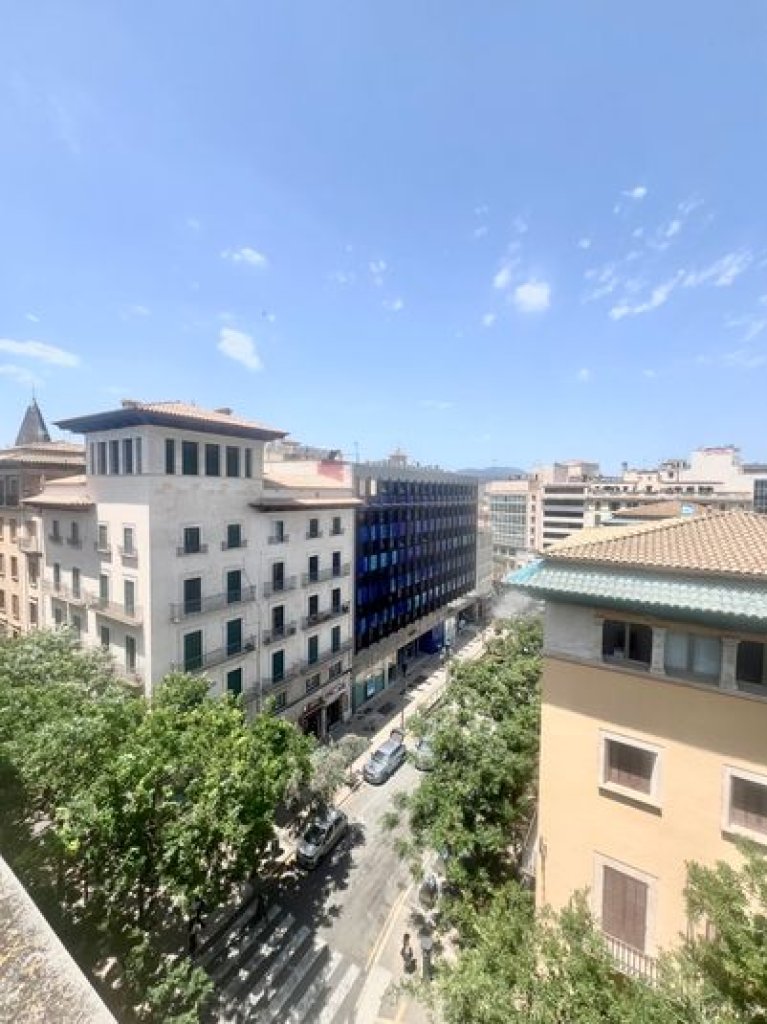 Alquiler en el Casco Antiguo de Palma